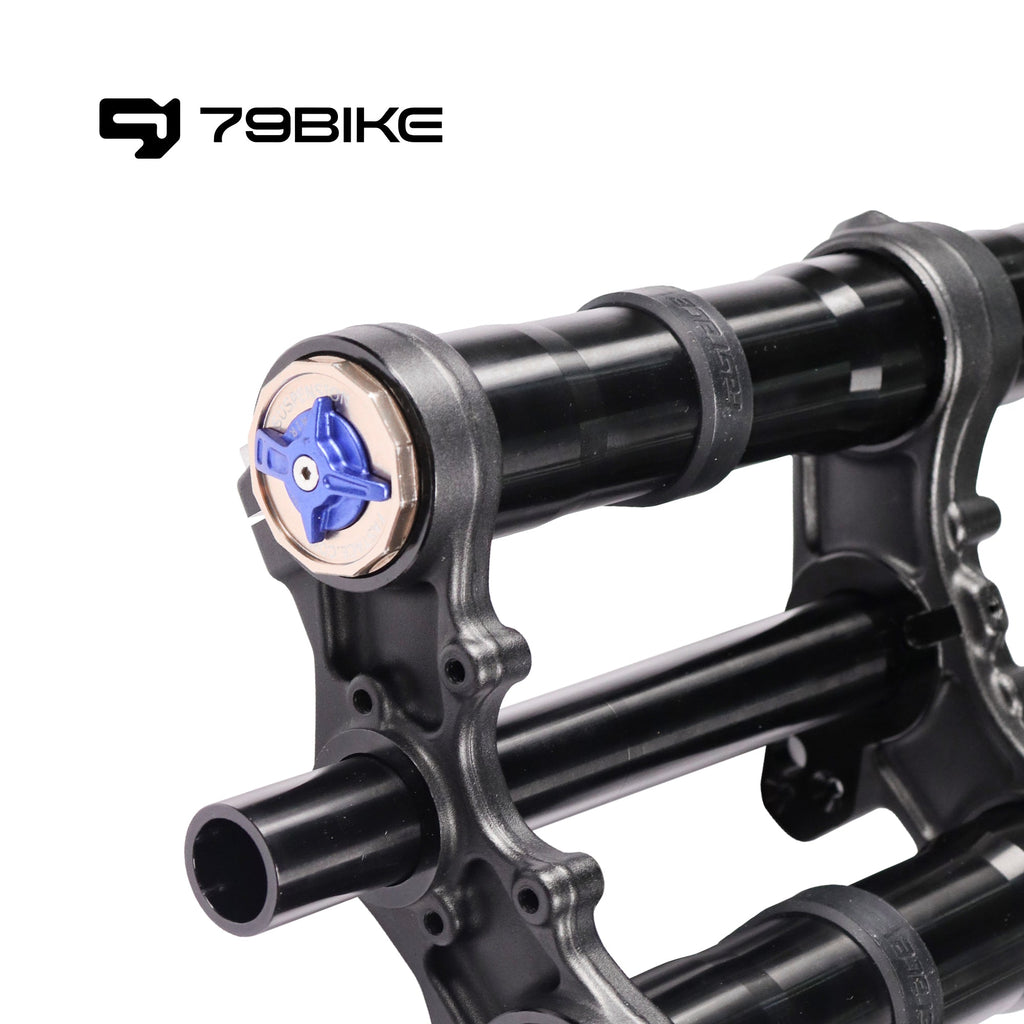 79Bike Falcon Pro FastAce ALX33RC 2.0 Fork (for Replacement)